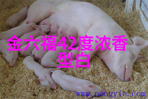 白酒如何去除油腻这招真有效_白酒如何去除油腻