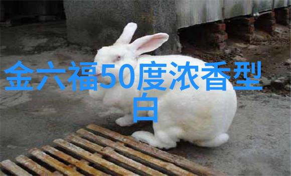 节日送礼指南500元档哪些白酒礼盒既有文化底蕴又显档次