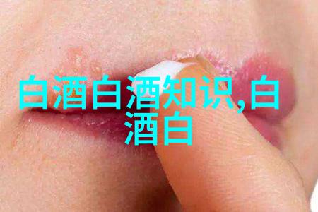 五粮液系列酒有哪些经典之作哪款更适合日常饮用