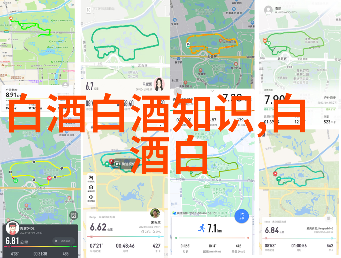 广西的米酒有哪些特色广西有哪些的米酒品牌