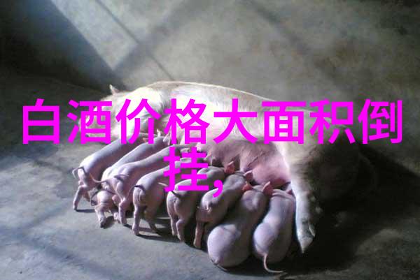 白酒品牌大揭秘哪些品牌值得一试_白酒都有什么牌子