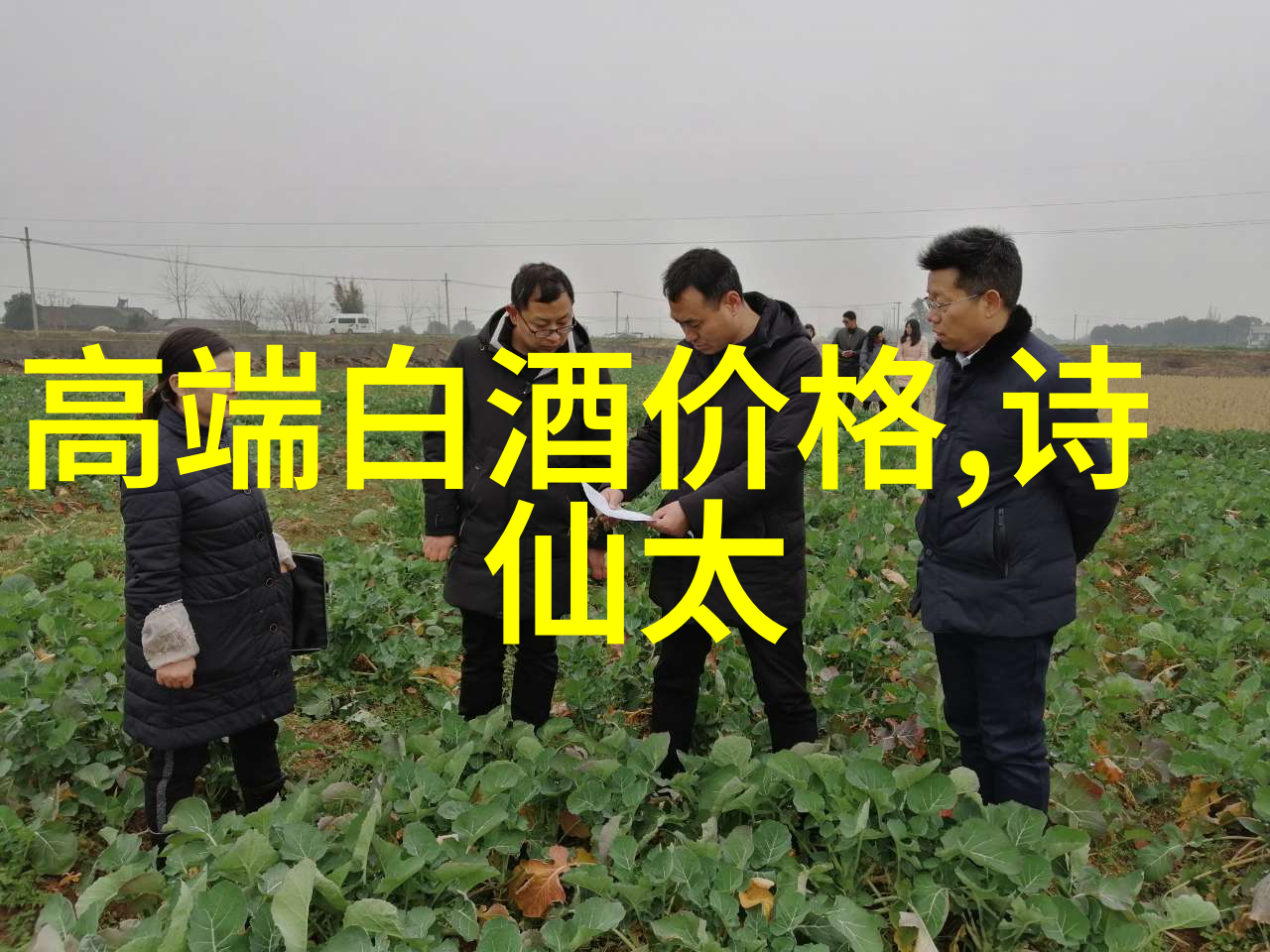 探索光瓶白酒的多彩世界种类品鉴与市场趋势_光瓶白酒有多少种