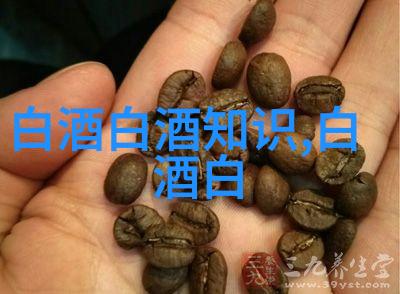 五粮液12822618大会系列活动公布