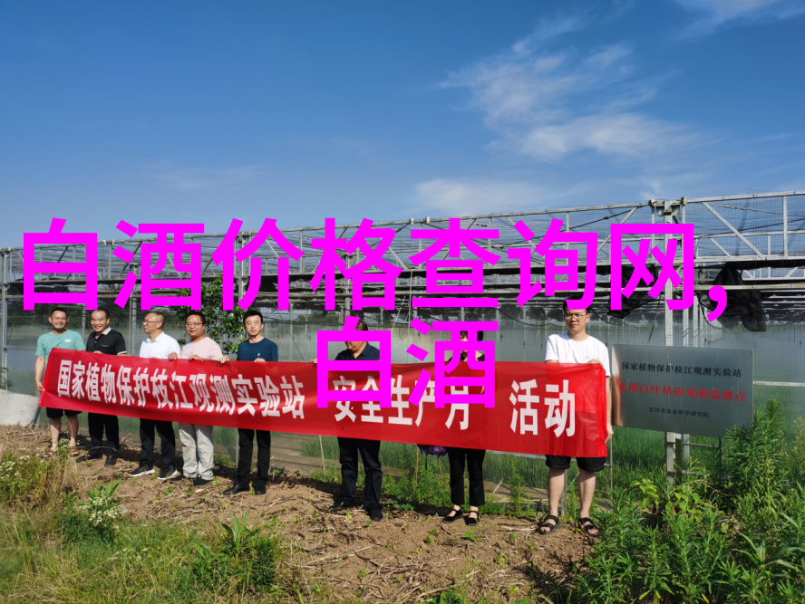 白酒混搭喝法大揭秘如何玩转不同风味的和谐共舞 白酒 如何混着喝不会醉